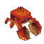 Crab
