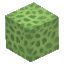 Lime Green Coral Block