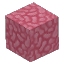 Pink Coral Block