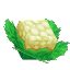 Cauliflower