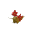 Red Arid Flower