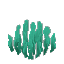 Seaweed